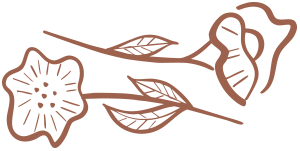 about testemunhos grafimo